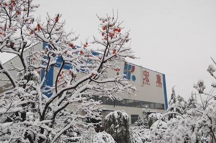 山東宏康機床：雪景一角.jpg